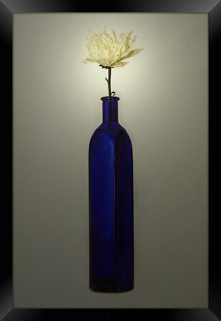  Blue Bottle Framed Print by David Martin