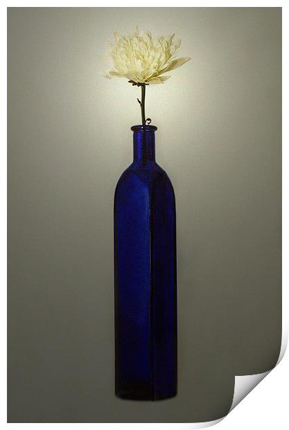  Blue Bottle Print by David Martin