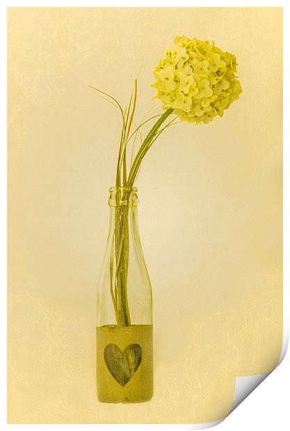  Yellow Flower Print by David Martin