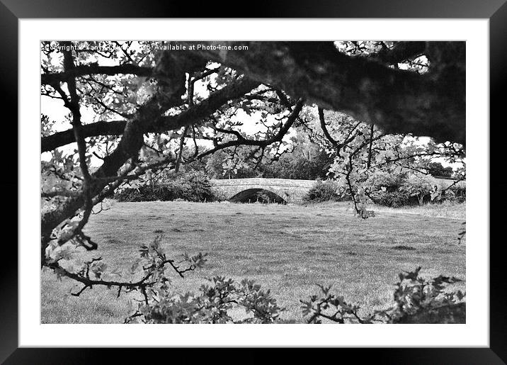  bridge through the trees Framed Mounted Print by Tanya Lowery