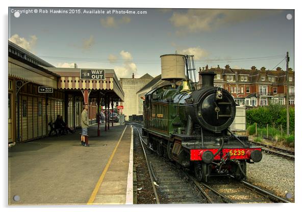  Goliath at Paignton  Acrylic by Rob Hawkins