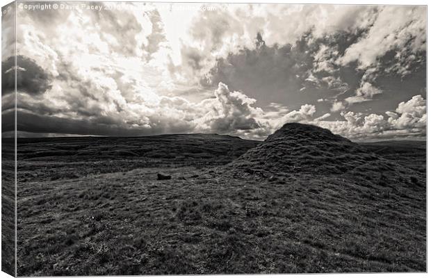  Yorkshire Dales (B+W) Canvas Print by David Pacey