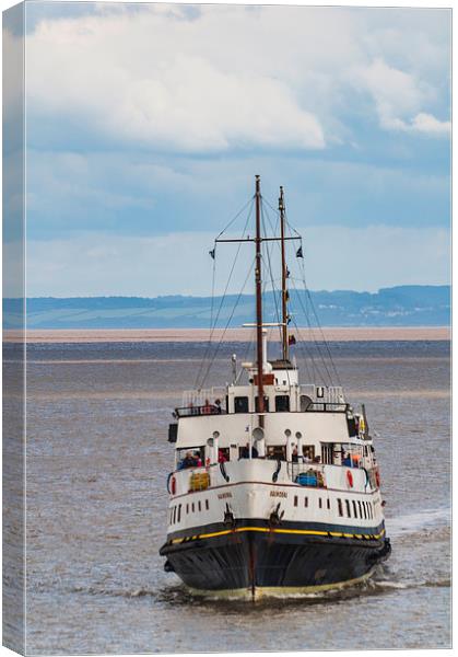 Getting Nearer Canvas Print by Steve Purnell