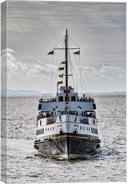 Approaching Canvas Print by Steve Purnell