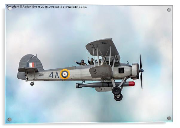 The Fairey Swordfish Biplane Acrylic by Adrian Evans