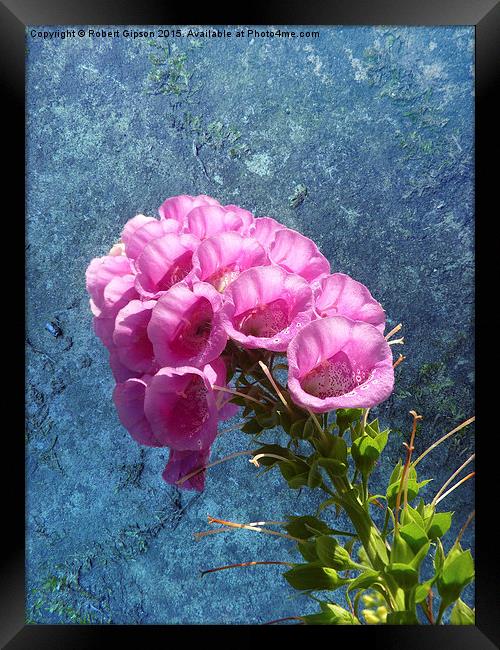   Foxglove with texture reaching for the sky. Framed Print by Robert Gipson
