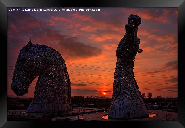  The Kelpies at Sunset Framed Print by Lynne Morris (Lswpp)