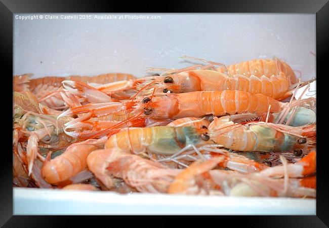 Fresh prawns Framed Print by Claire Castelli