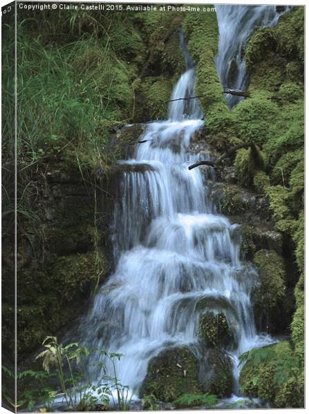  Waterfall Canvas Print by Claire Castelli