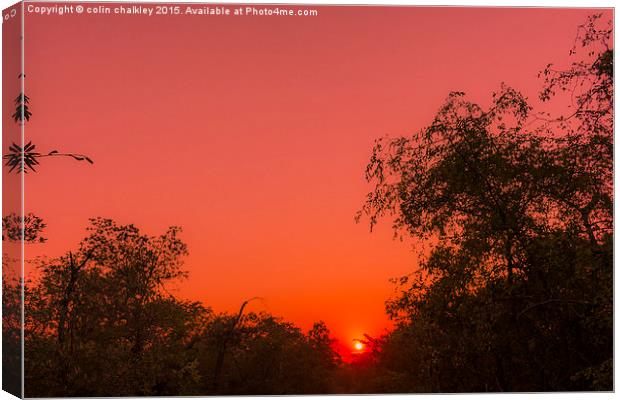  African Sunrise Canvas Print by colin chalkley