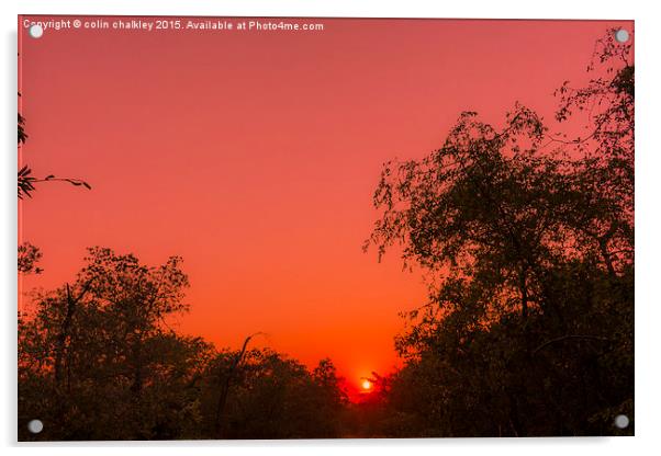  African Sunrise Acrylic by colin chalkley