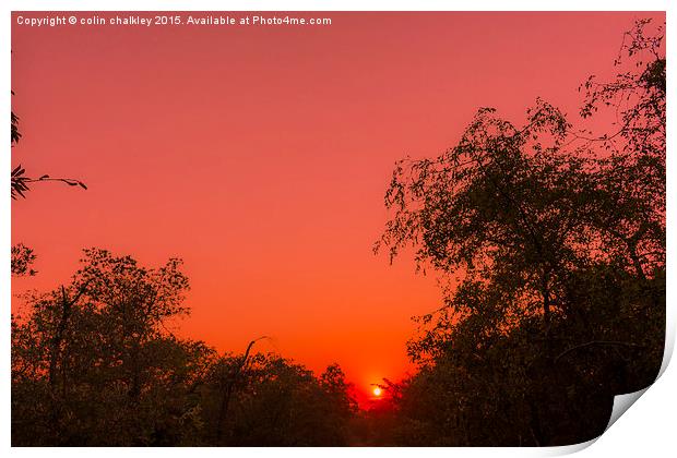  African Sunrise Print by colin chalkley