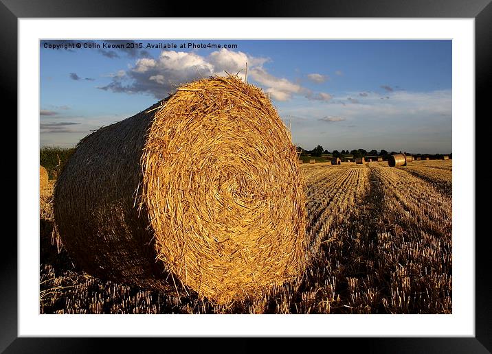  Hay Bail Framed Mounted Print by Colin Keown