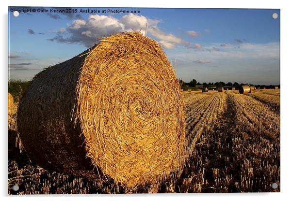  Hay Bail Acrylic by Colin Keown