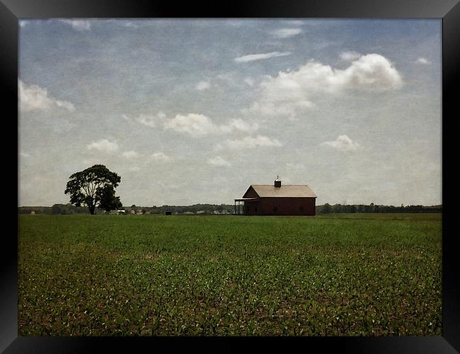  Farmland Framed Print by Tom and Dawn Gari