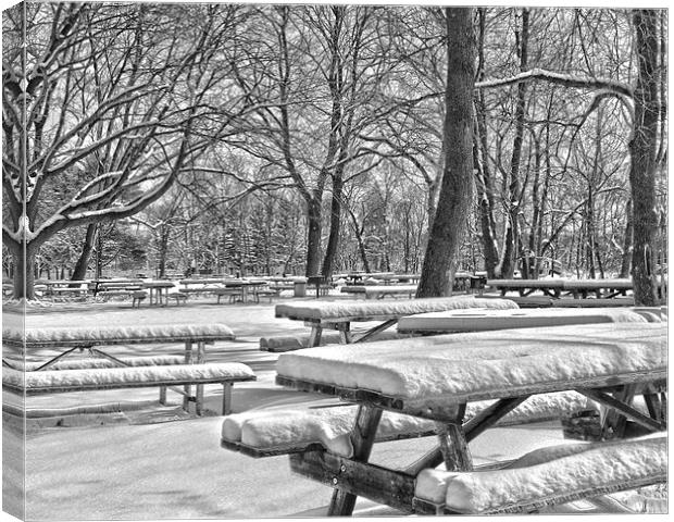  Picnic Tables In The Snow Canvas Print by Tom and Dawn Gari