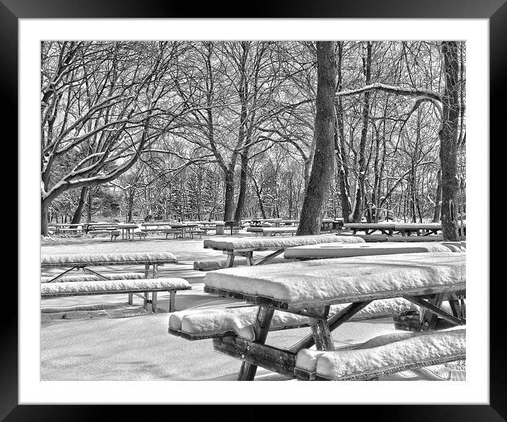  Picnic Tables In The Snow Framed Mounted Print by Tom and Dawn Gari
