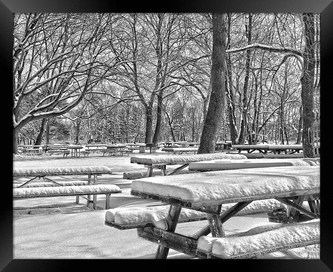  Picnic Tables In The Snow Framed Print by Tom and Dawn Gari