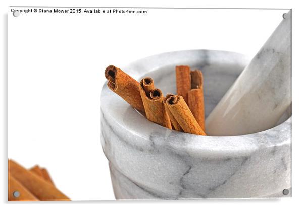  Cinnamon Acrylic by Diana Mower