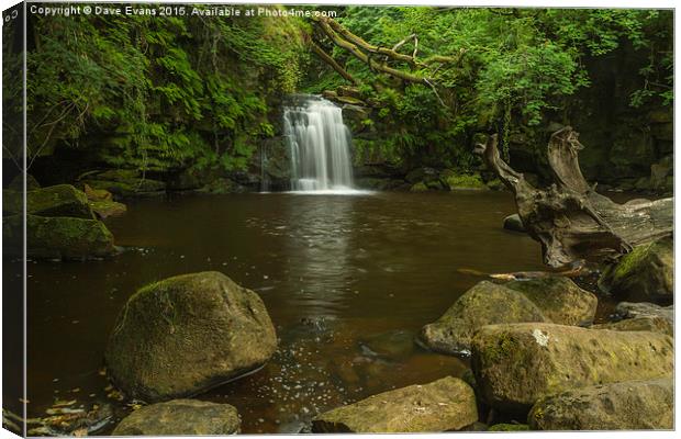  Thomasen Foss Waterfall Canvas Print by Dave Evans