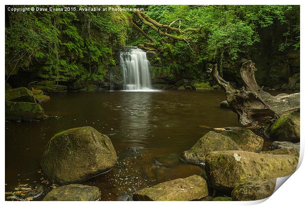  Thomasen Foss Waterfall Print by Dave Evans