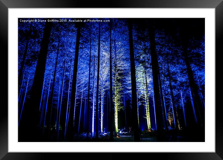  Woodland at night Framed Mounted Print by Diane Griffiths
