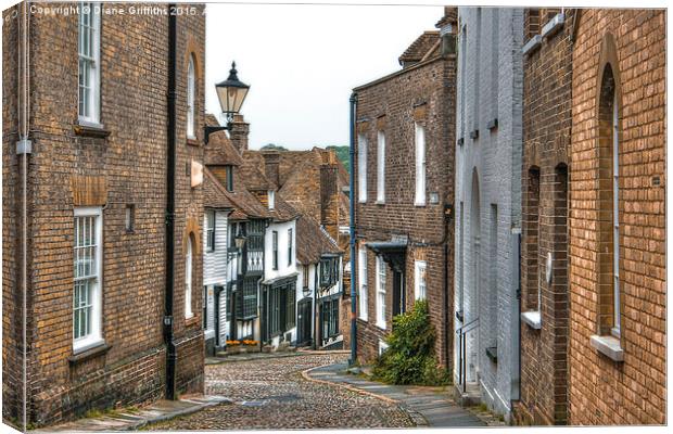  Rye Canvas Print by Diane Griffiths