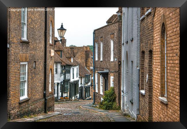  Rye Framed Print by Diane Griffiths