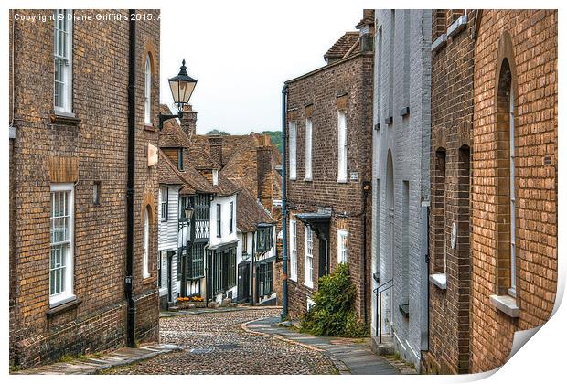  Rye Print by Diane Griffiths