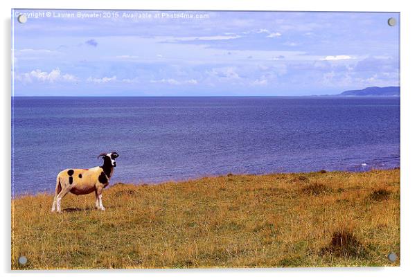 Welsh Sheep, Wales. Acrylic by Lauren Bywater