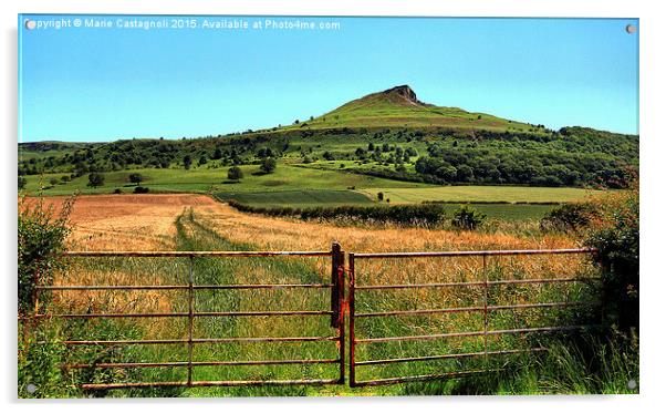  Roseberry Topping  Acrylic by Marie Castagnoli