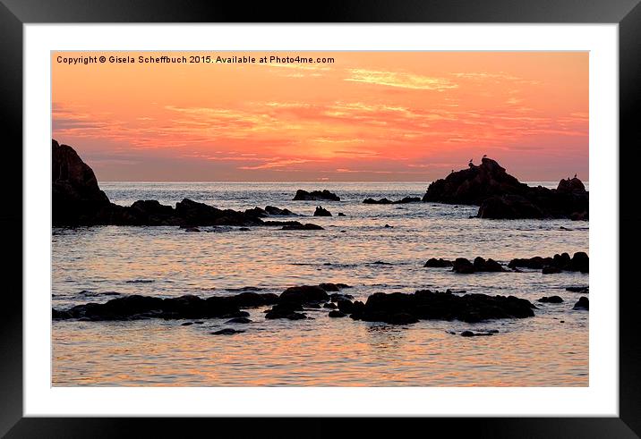  Sunset  at Cobo Bay Framed Mounted Print by Gisela Scheffbuch
