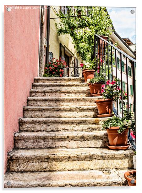  Typical Italian Steps Acrylic by Lynne Morris (Lswpp)