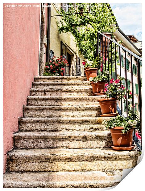  Typical Italian Steps Print by Lynne Morris (Lswpp)