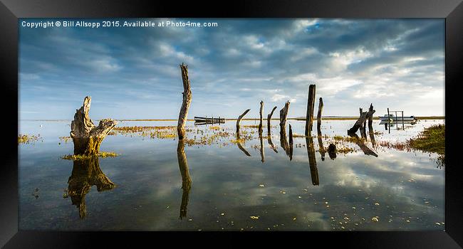 Thornham Stumps in Norfolk at high tide. Framed Print by Bill Allsopp