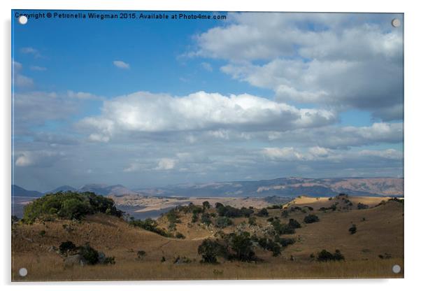  Landscape at Badplaas Acrylic by Petronella Wiegman