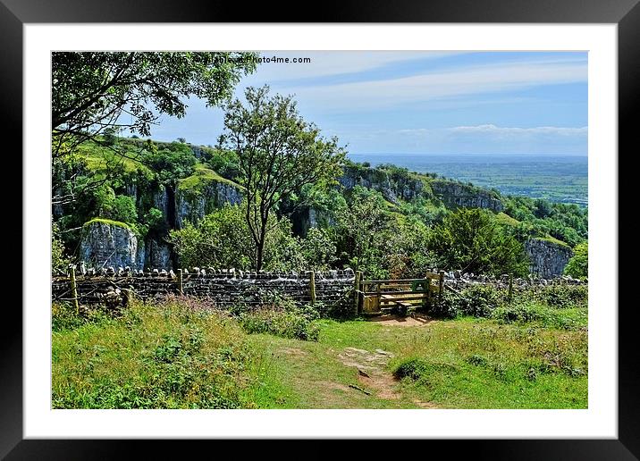  Cheddar Gorge  View Framed Mounted Print by Diana Mower