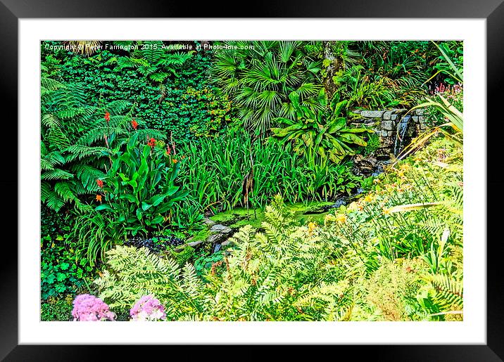  Colours of Cornwall's Great Gardens Framed Mounted Print by Peter Farrington