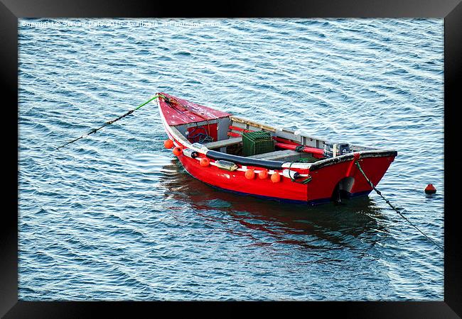  Red Fishing Boat Framed Print by Steven Dale