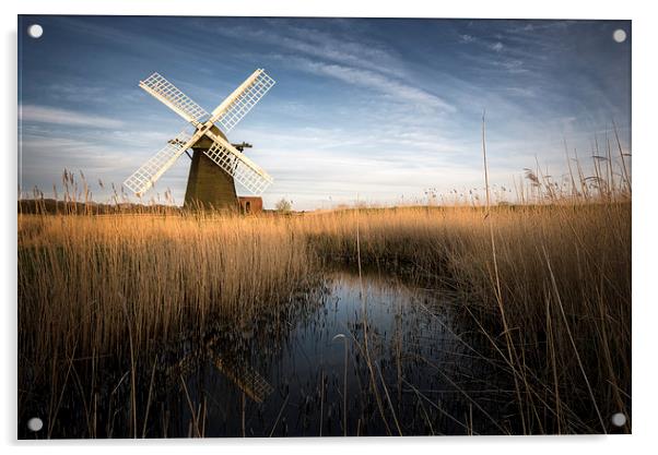  Herringfleet, Suffolk Acrylic by Neil Almnond