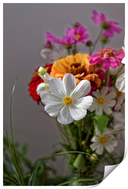 Bouquet of field flowers Print by Adrian Bud