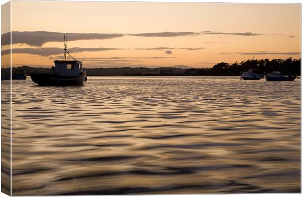 Wexford Harbour at sundown, Ireland Canvas Print by Ian Middleton