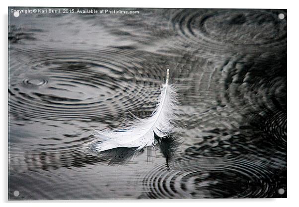  Swan feather Acrylic by Karl Burrill
