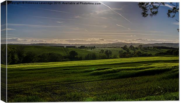  view towards crich stand  Canvas Print by Rebecca Leveridge