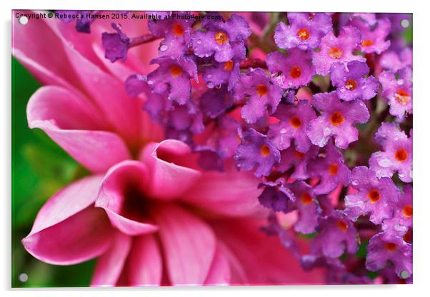  Pink & Purple Acrylic by Rebecca Hansen