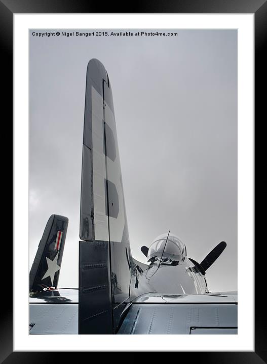  Grumman F8F-2P Bearcat Framed Mounted Print by Nigel Bangert