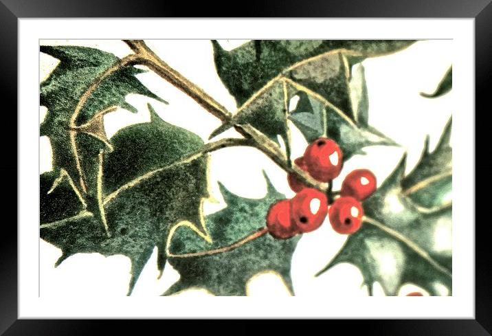  Christmas Time Holly Time Framed Mounted Print by Sue Bottomley