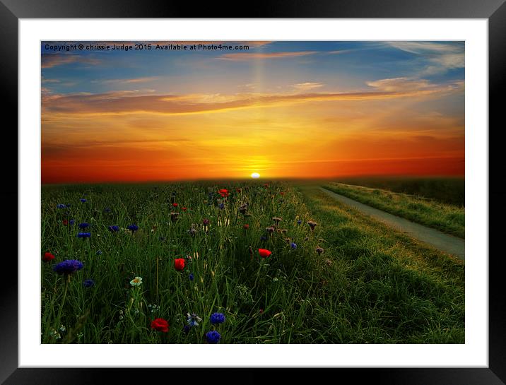  Sunrise over  the meadow  Framed Mounted Print by Heaven's Gift xxx68