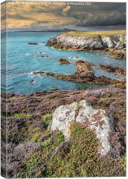 Rhoscolyn Head Anglesey Canvas Print by Adrian Evans
