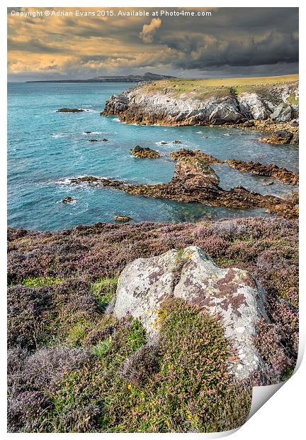 Rhoscolyn Head Anglesey Print by Adrian Evans